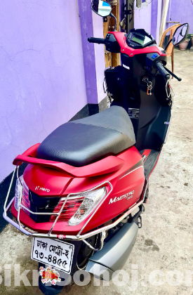 Maestro 110